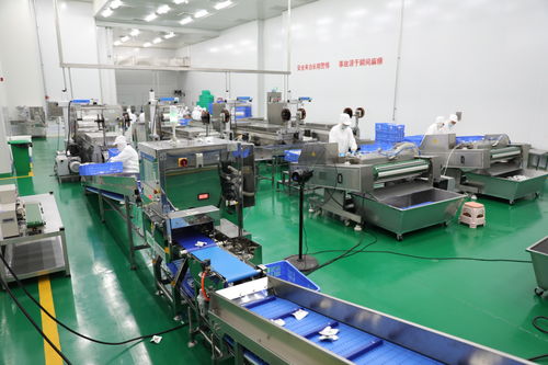 拜泉縣 技術咨詢賦能重點項目，全力開創建設新局面